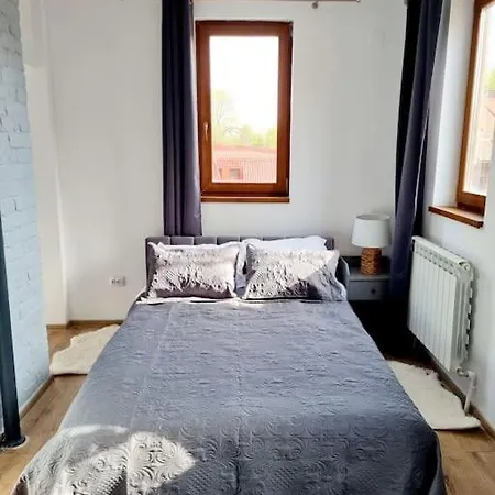 Cozy Near Center * Bukurešť