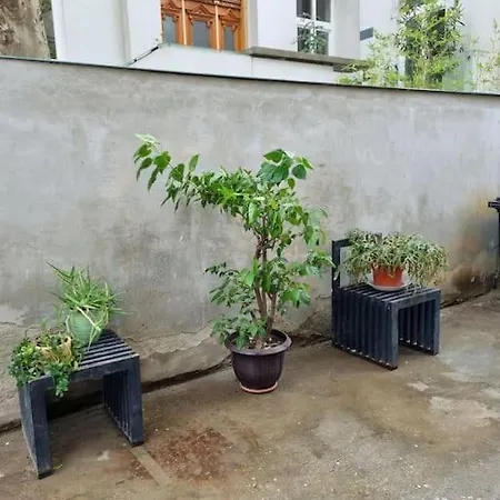 Cozy Near Center Apartment