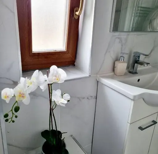 Cozy Near Center * Бухарест